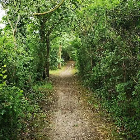 Holiday home Le Petit Paradis De Noordpeene