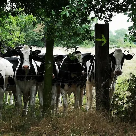 Le Petit Paradis De *