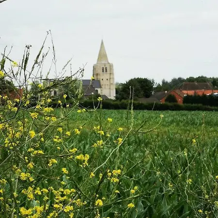 Le Petit Paradis De Holiday home Noordpeene