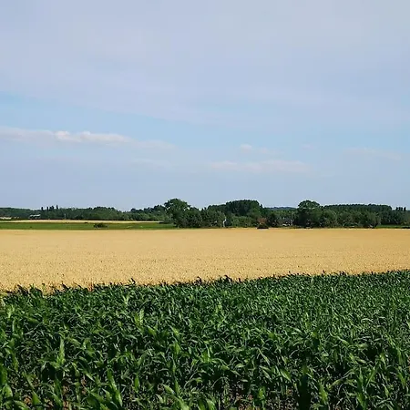 Le Petit Paradis De Holiday home